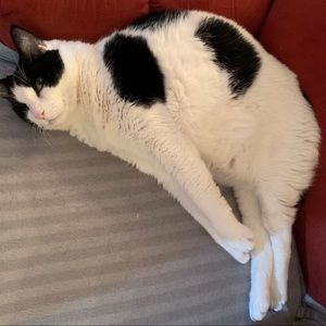 Meet your Posher, Catherine